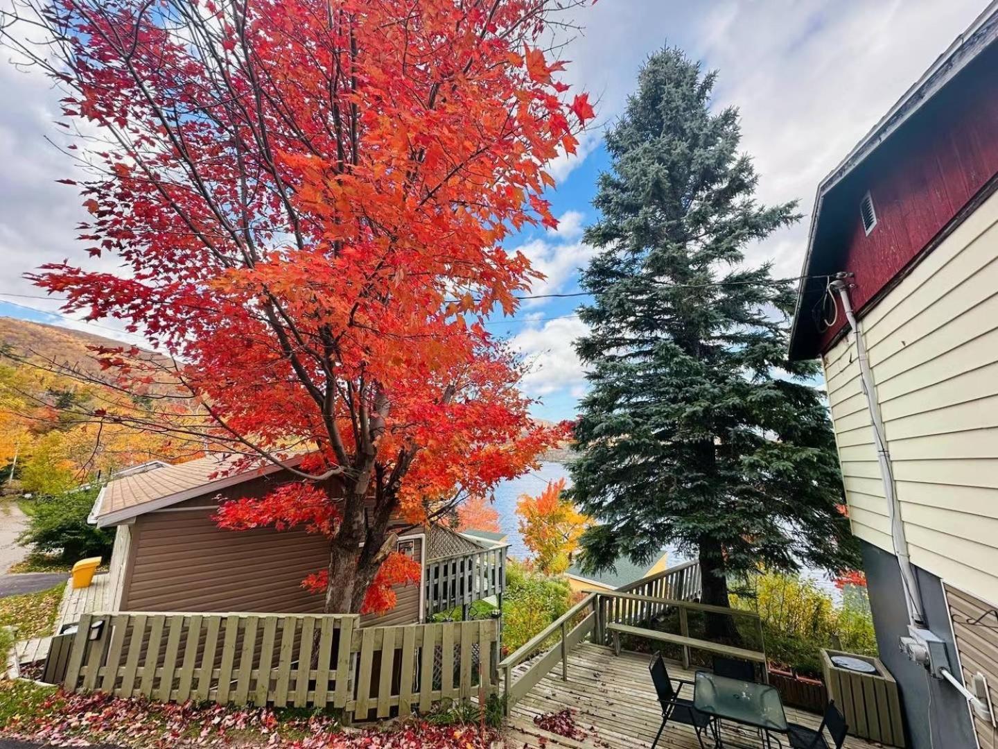 Knotty Pine Cottages, Suites & Motel Rooms インゴニッシュ エクステリア 写真